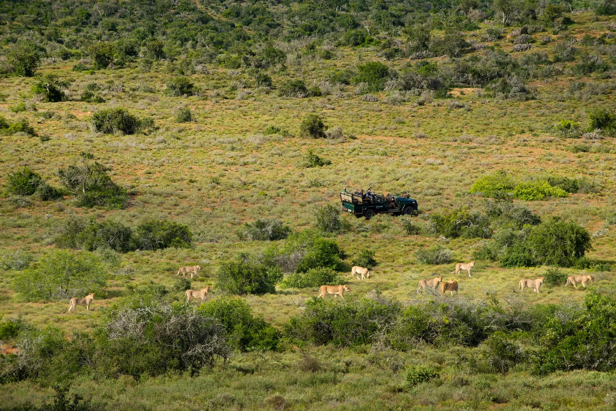 Great Fish River Lodge — photo 37