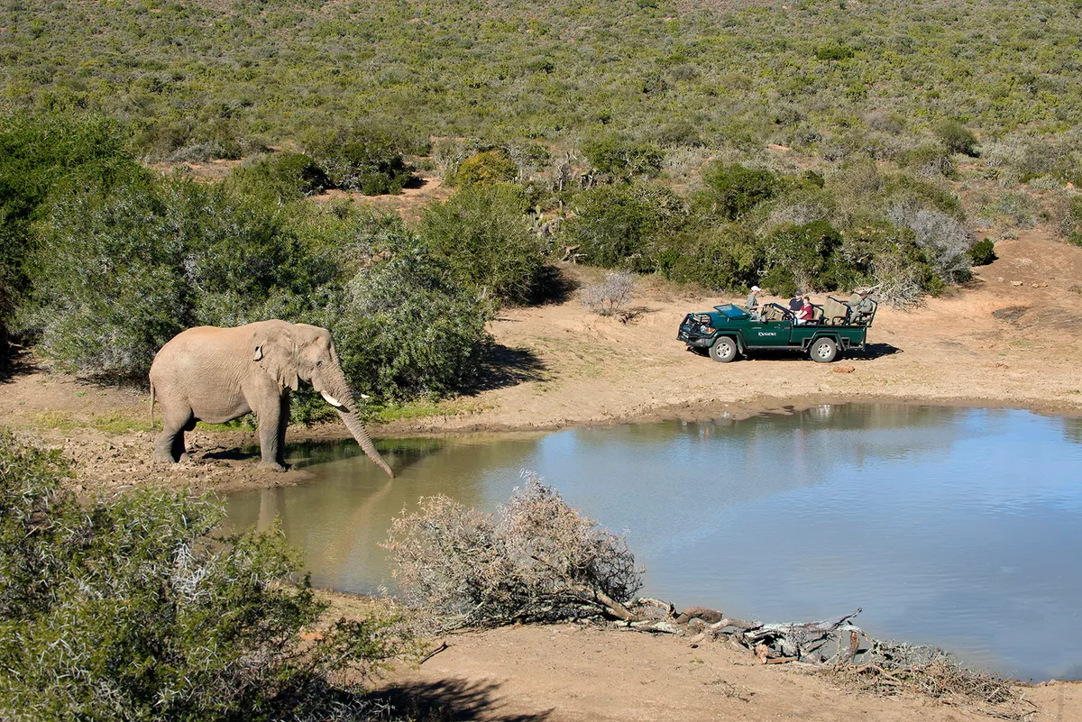 Great Fish River Lodge — photo 58