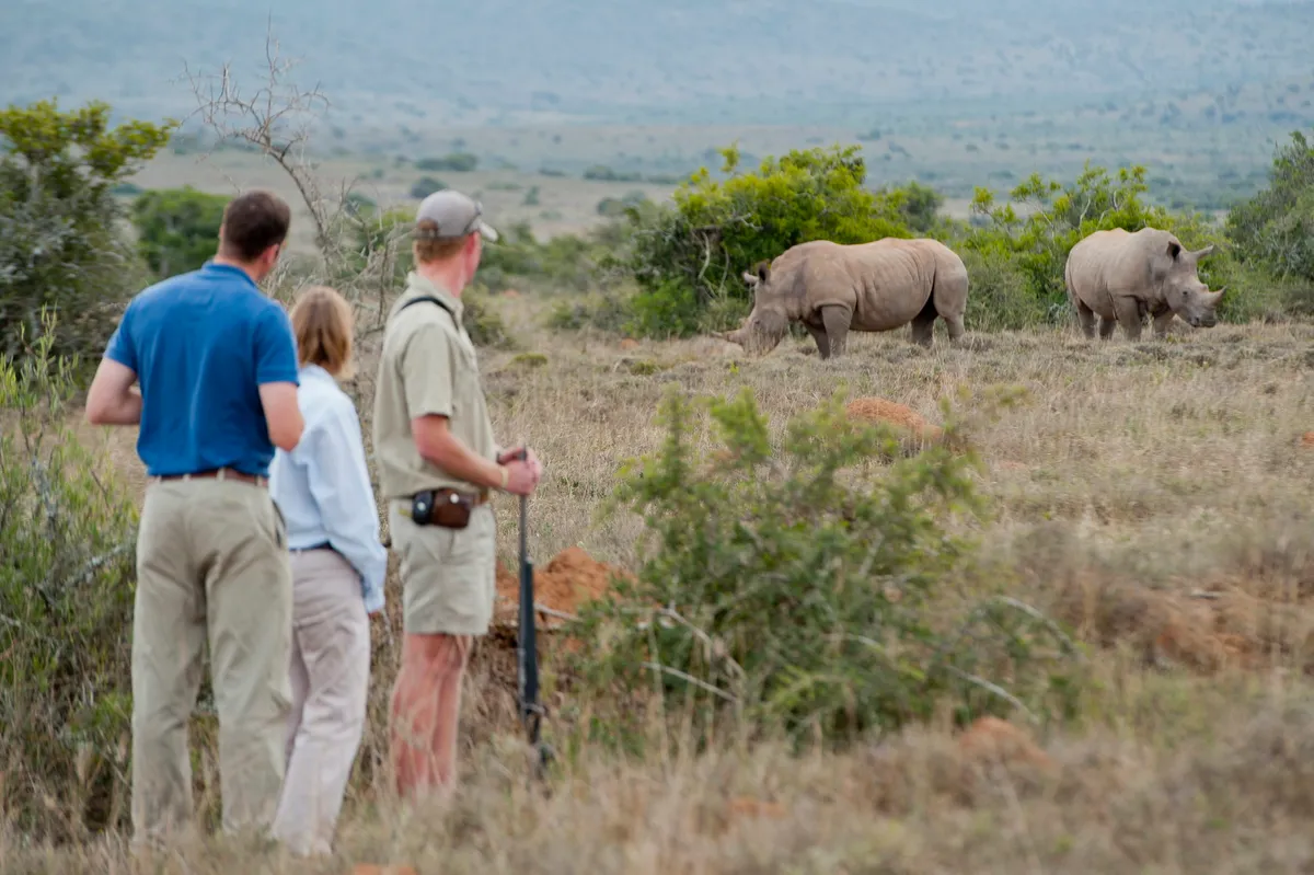 Great Fish River Lodge — photo 59