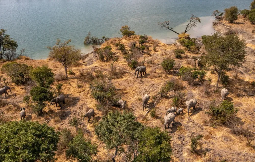Ila Safari Lodge, Kafue, Zambia