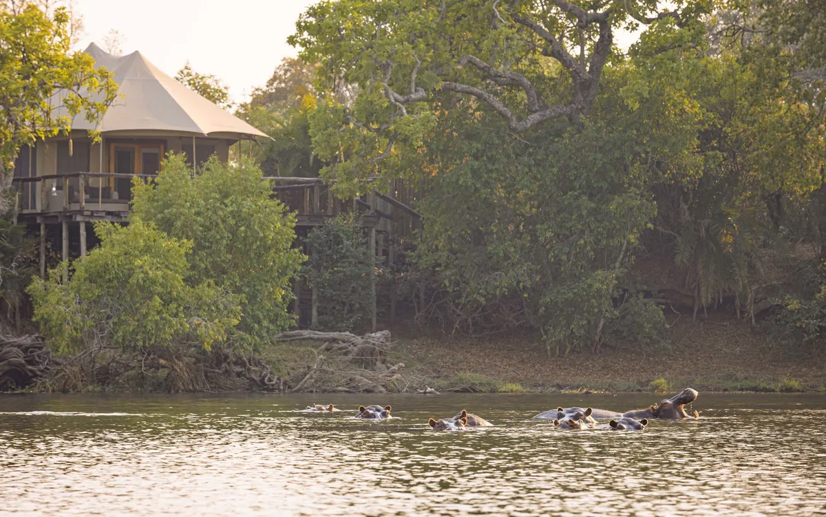 Ila Safari Lodge — photo 15