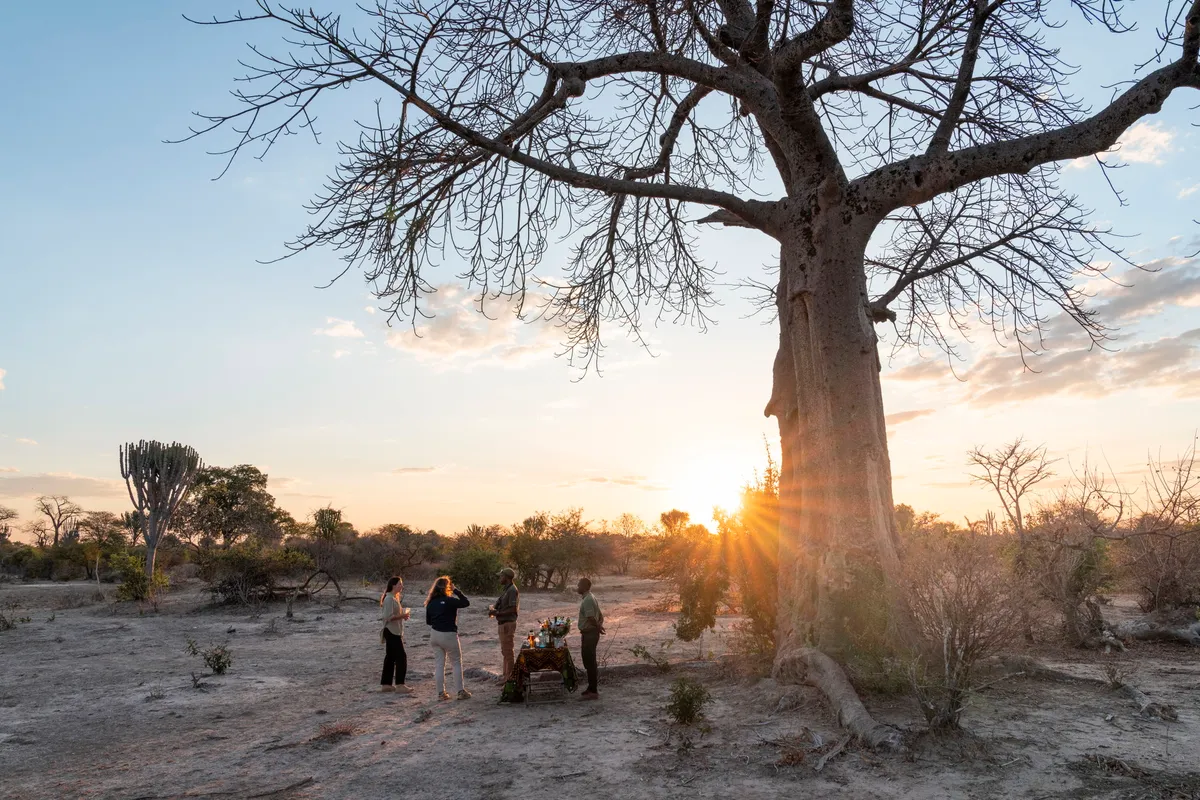Ila Safari Lodge — photo 18