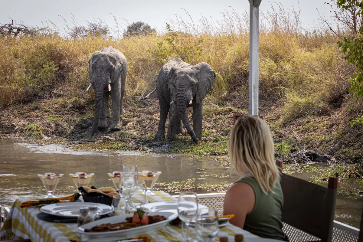 Ila Safari Lodge — photo 2