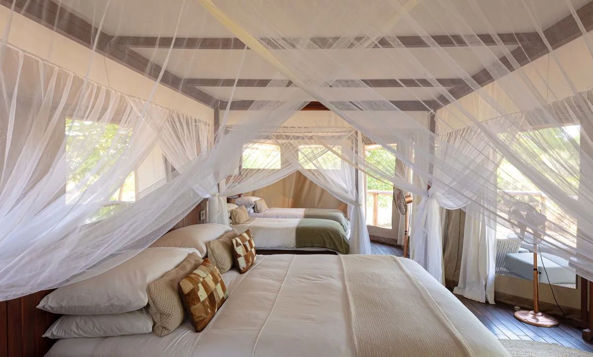 Ila Safari Lodge — photo 27