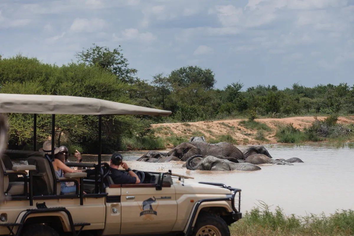 Jabulani Safari — photo 29