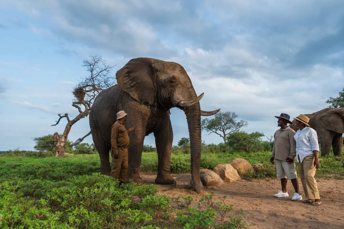 Jabulani Safari — photo 30