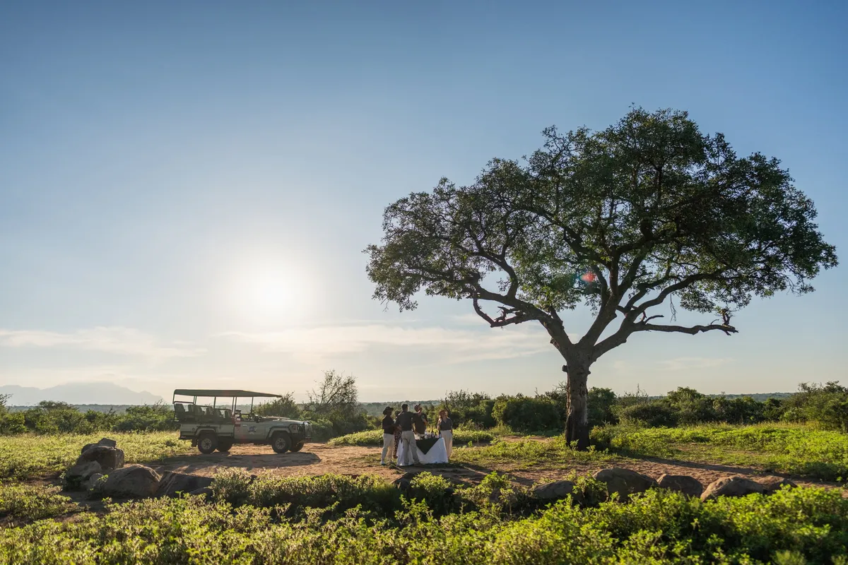 Jabulani Safari — photo 32