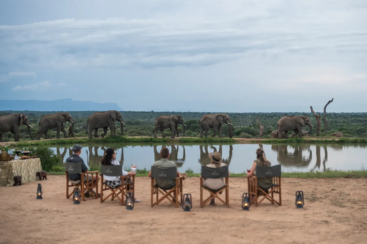 Jabulani Safari — photo 47