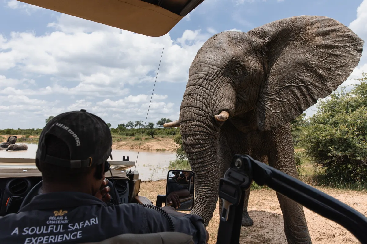 Jabulani Safari — photo 51