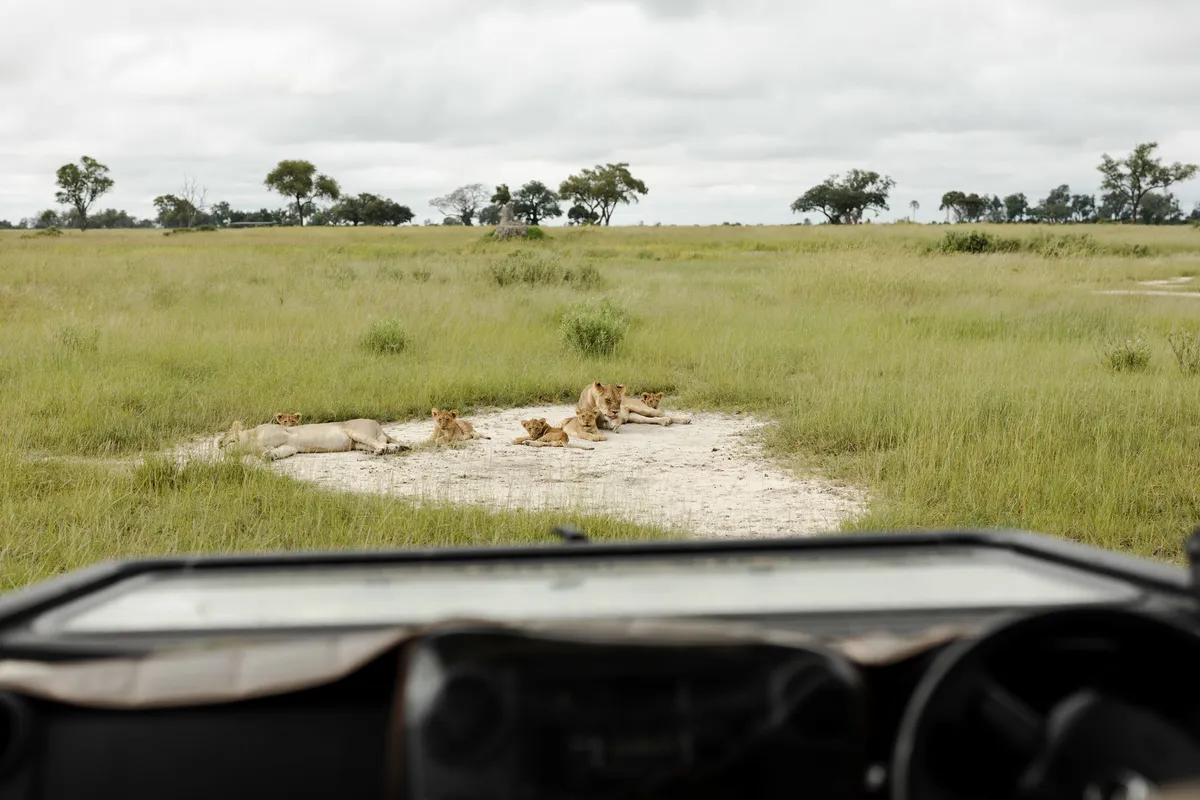 Kanana Nyana — photo 5