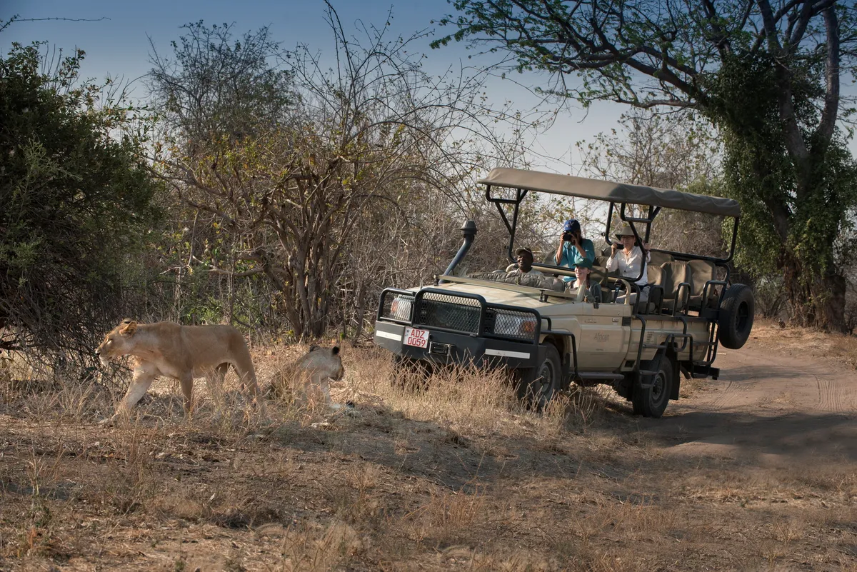 Kanga Expeditions — photo 5