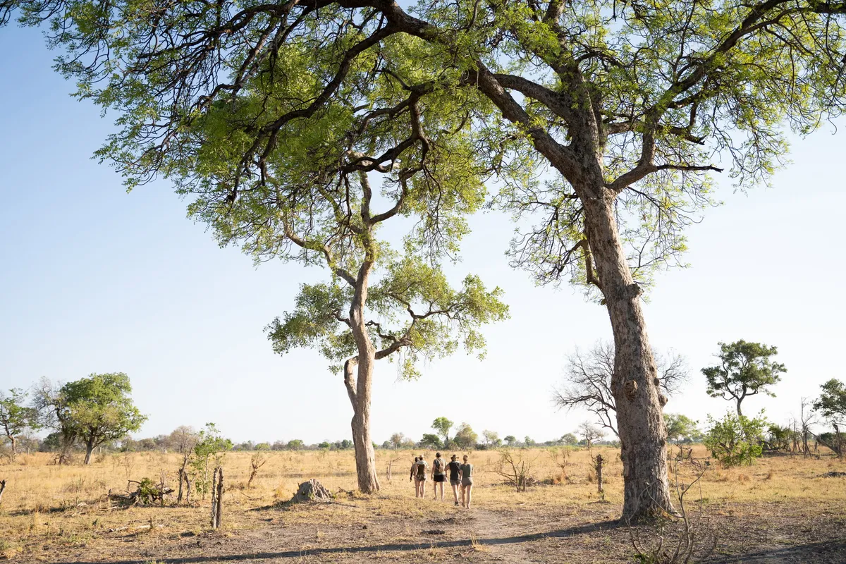 Karangoma — photo 21