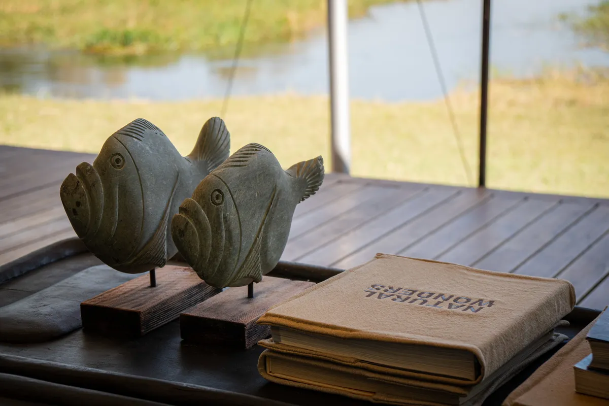 Khwai Leadwood — photo 18