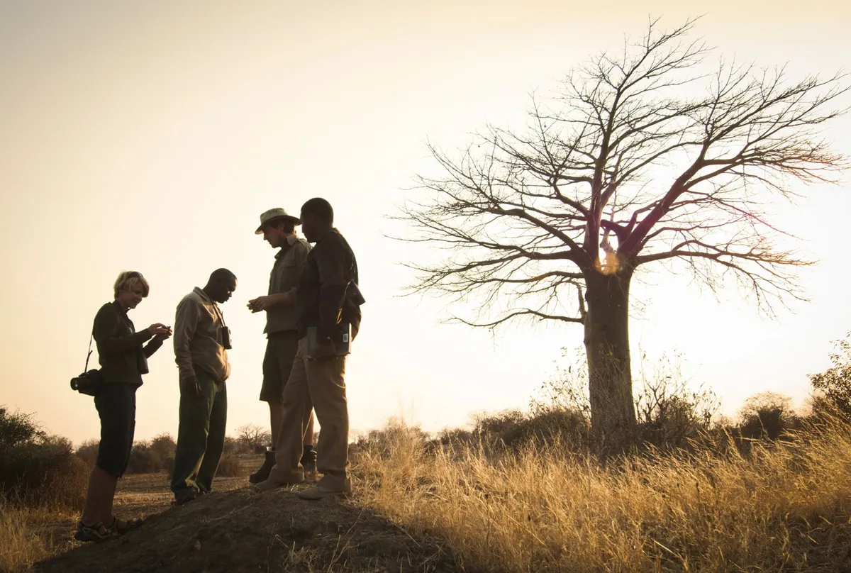 Kigelia Ruaha — photo 13