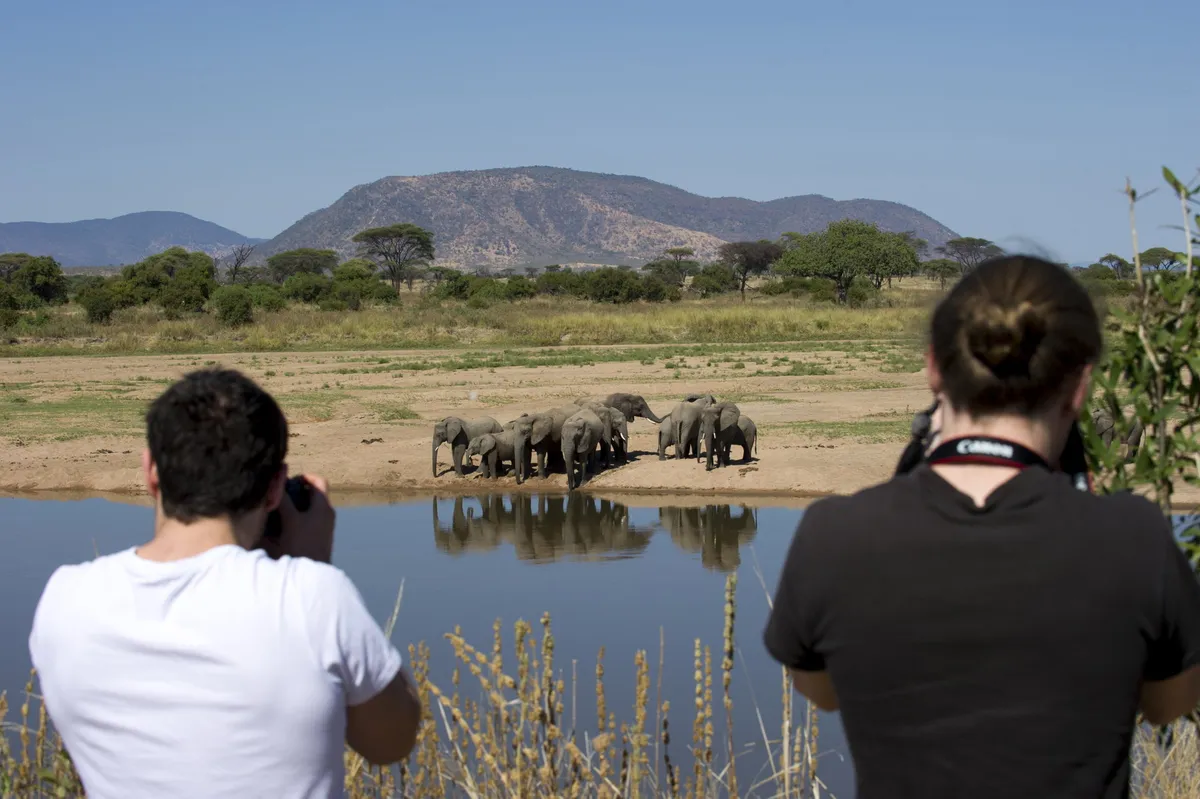 Kigelia Ruaha — photo 16