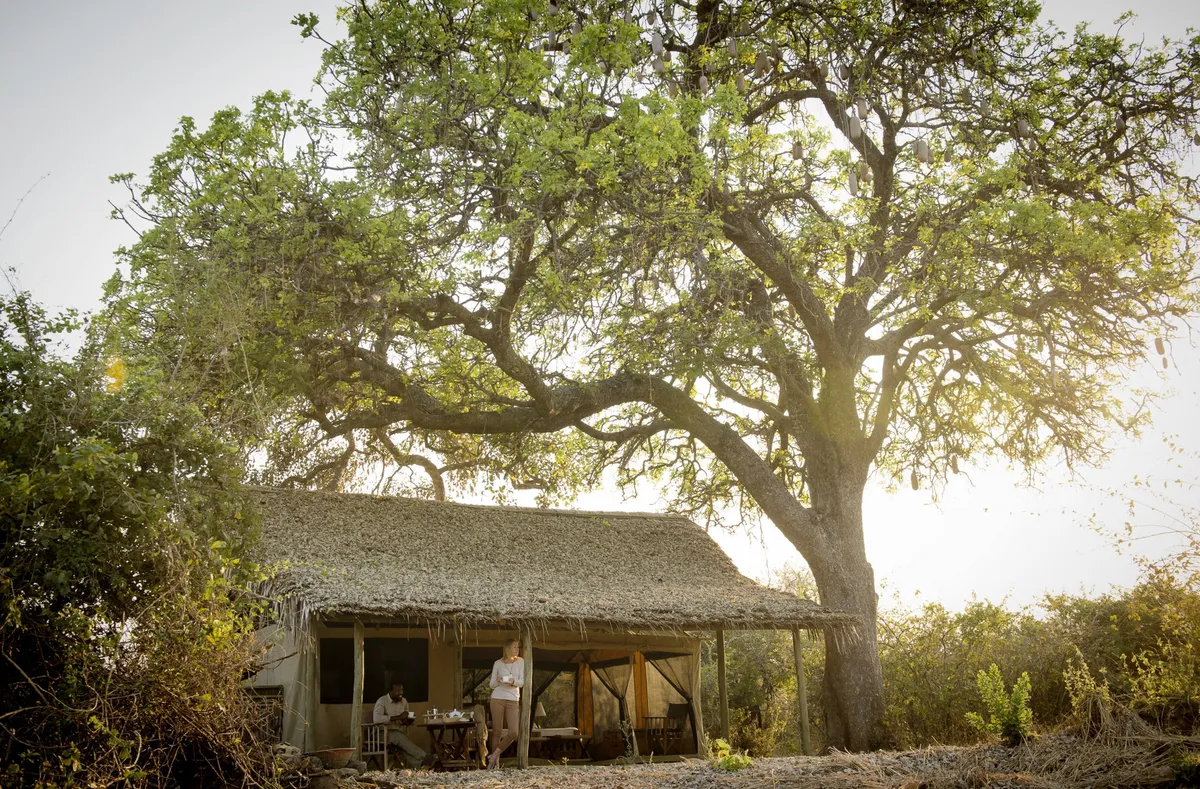 Kigelia Ruaha — photo 2