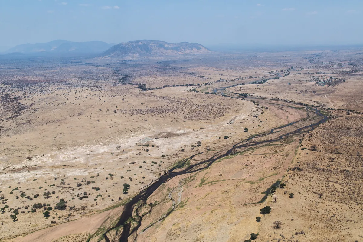 Kigelia Ruaha — photo 21