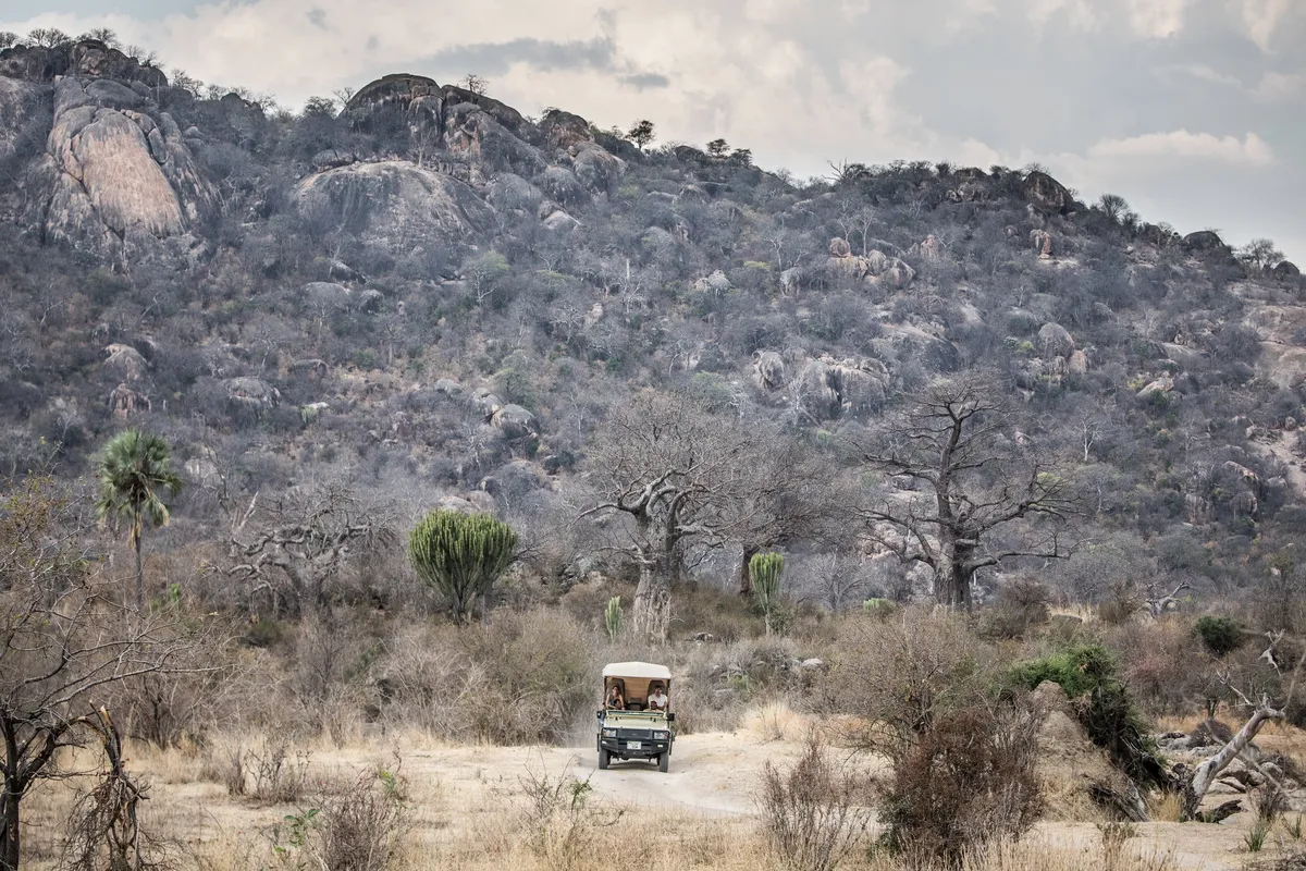 Kigelia Ruaha — photo 23