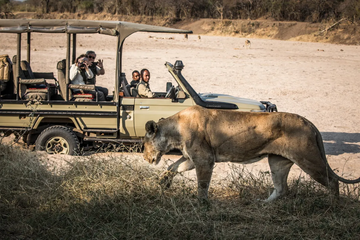 Kigelia Ruaha — photo 26
