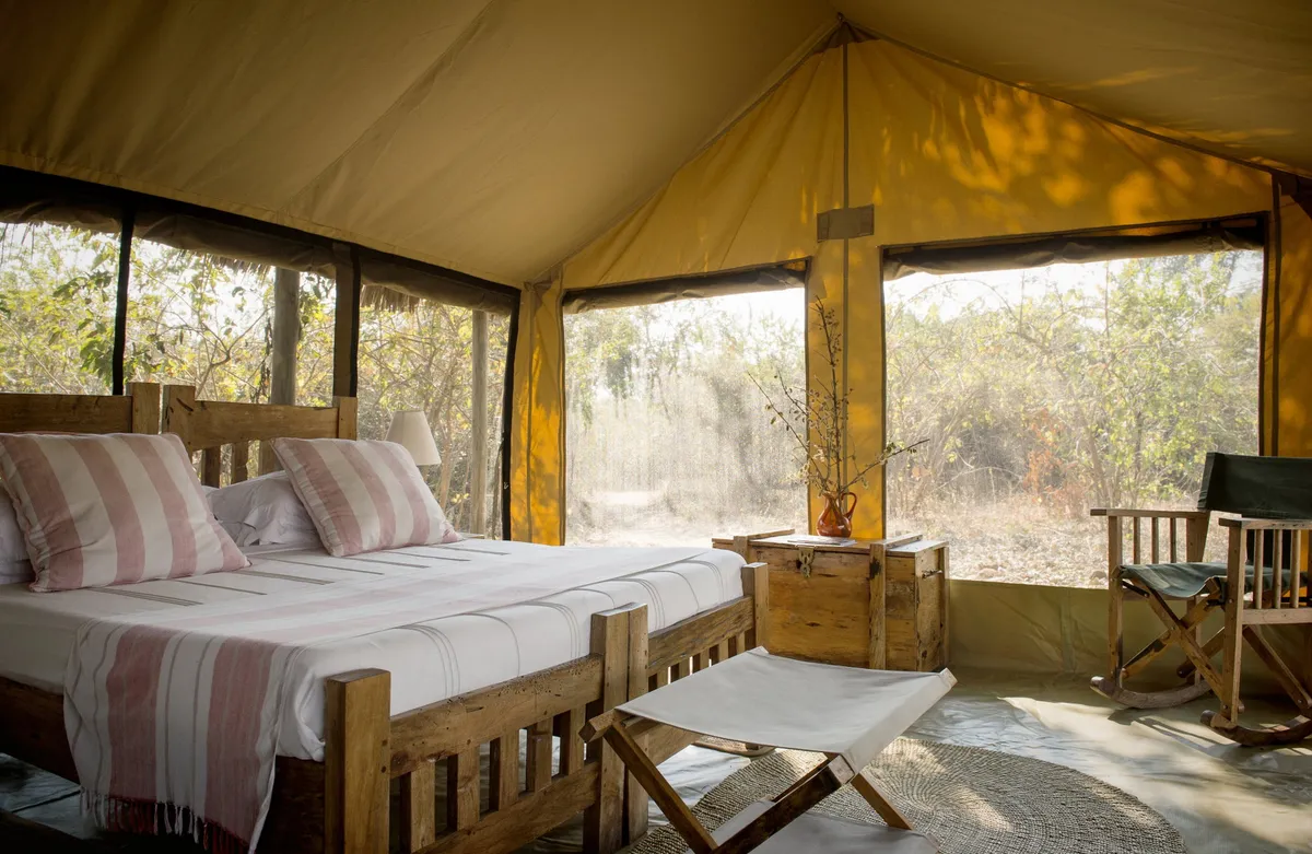 Kigelia Ruaha — photo 3