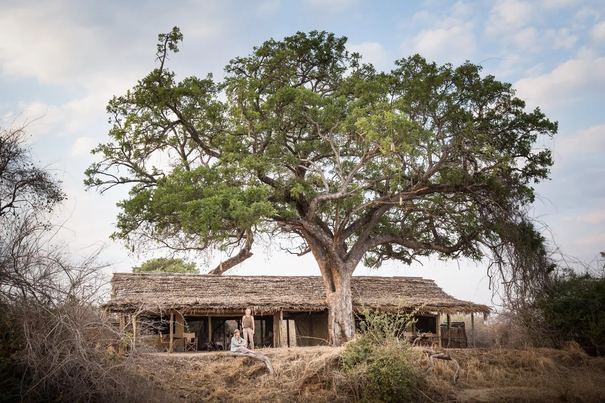 Kigelia Ruaha — photo 34