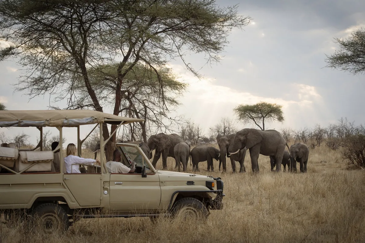 Kigelia Ruaha — photo 4