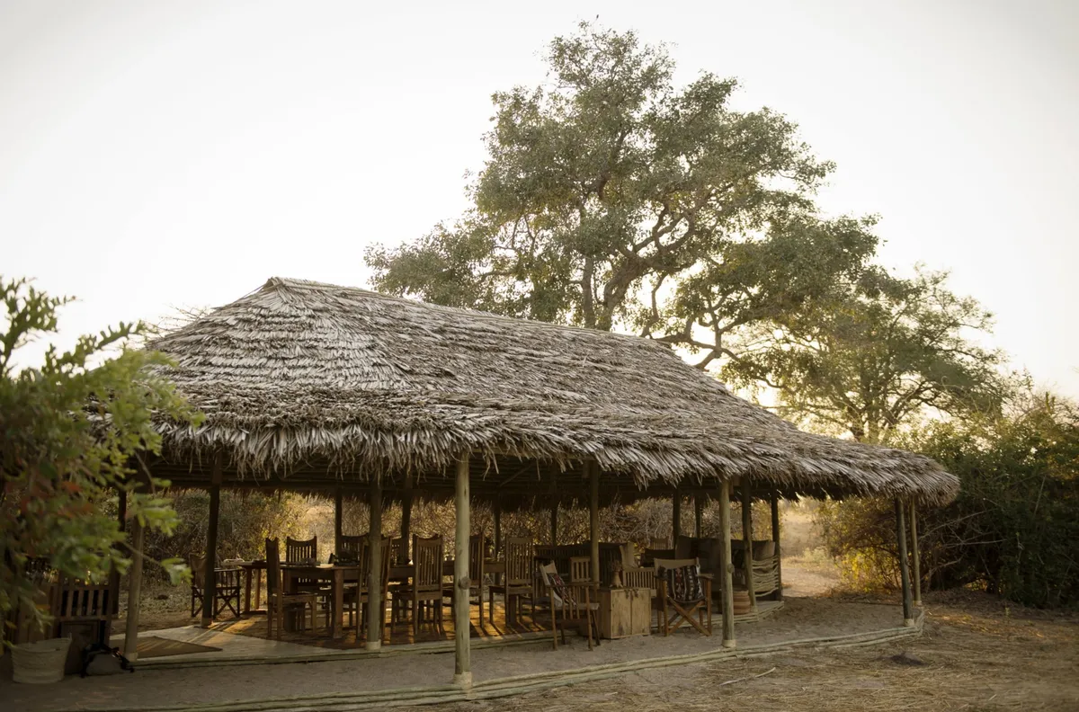 Kigelia Ruaha — photo 6