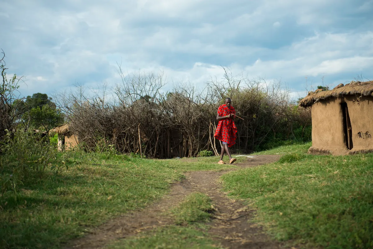Kilima — photo 34