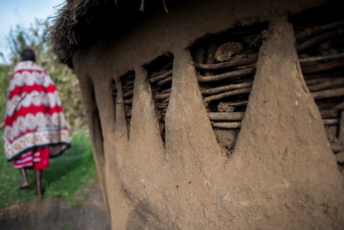 Kilima — photo 36