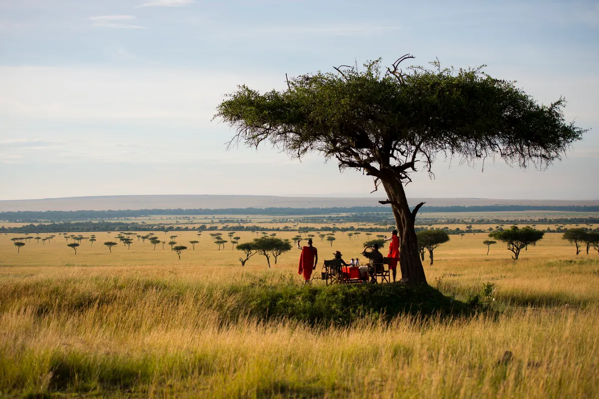 Kilima — photo 40