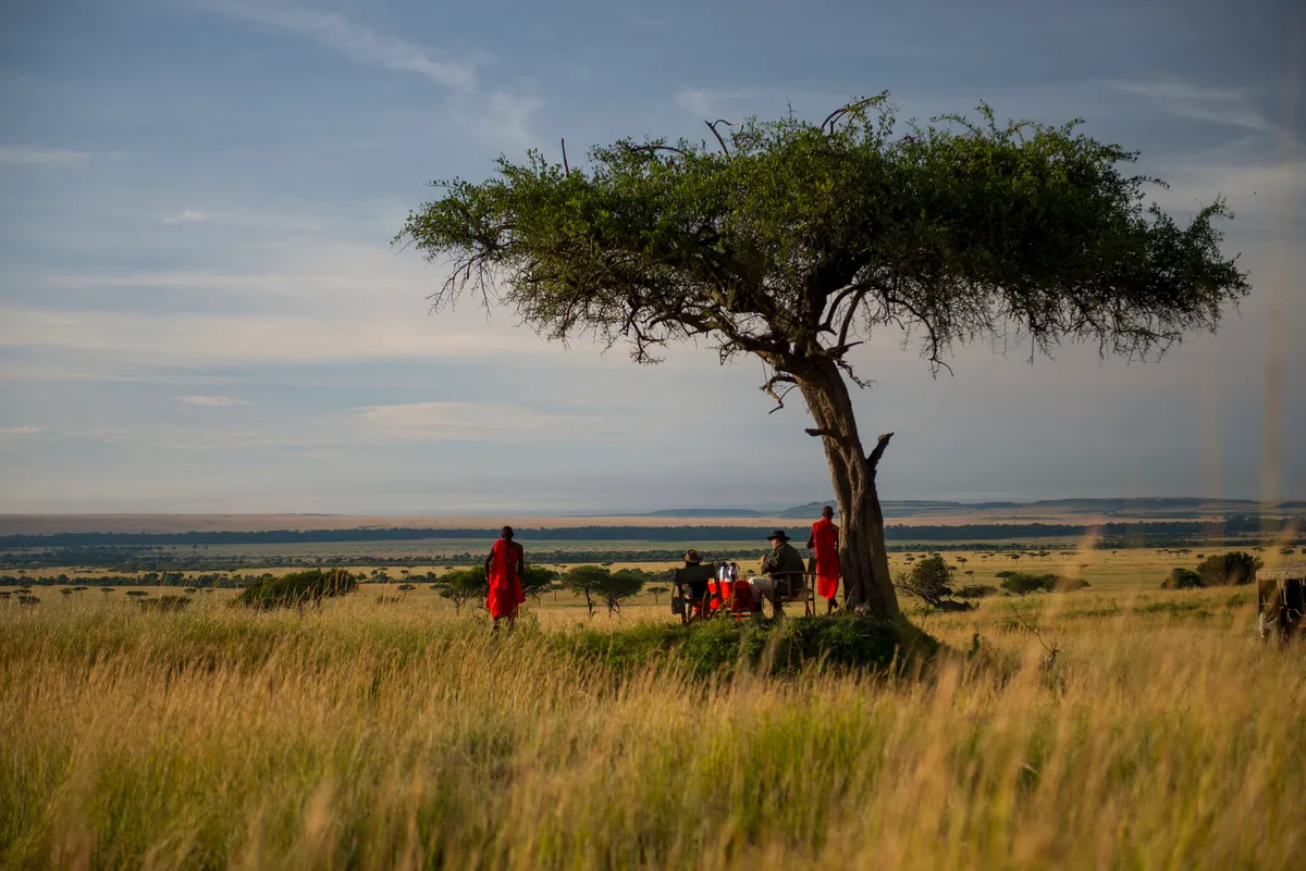 Kilima — photo 42