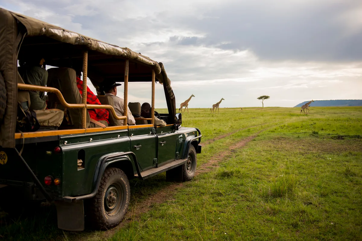 Kilima — photo 46