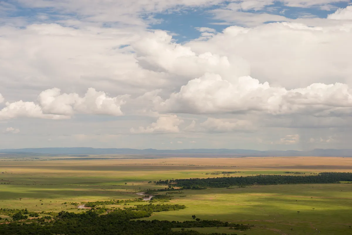 Kilima — photo 49