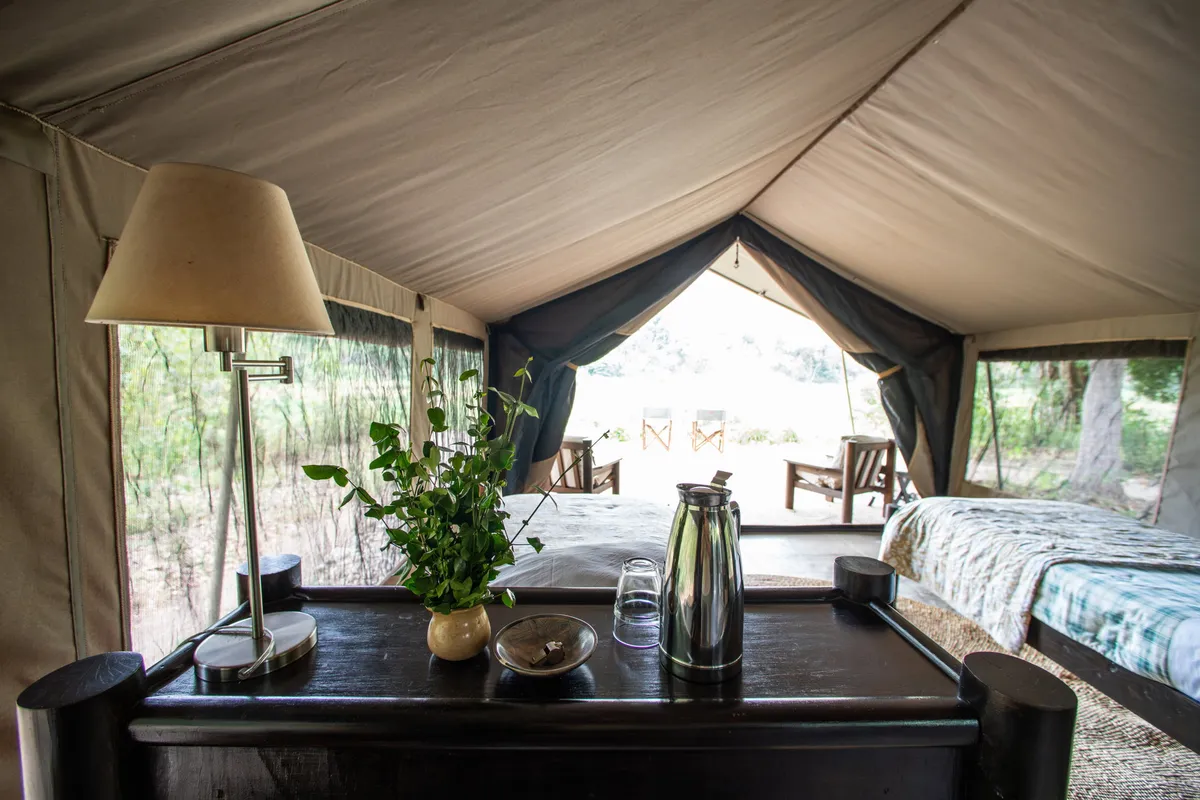 Kitich Camp — photo 10