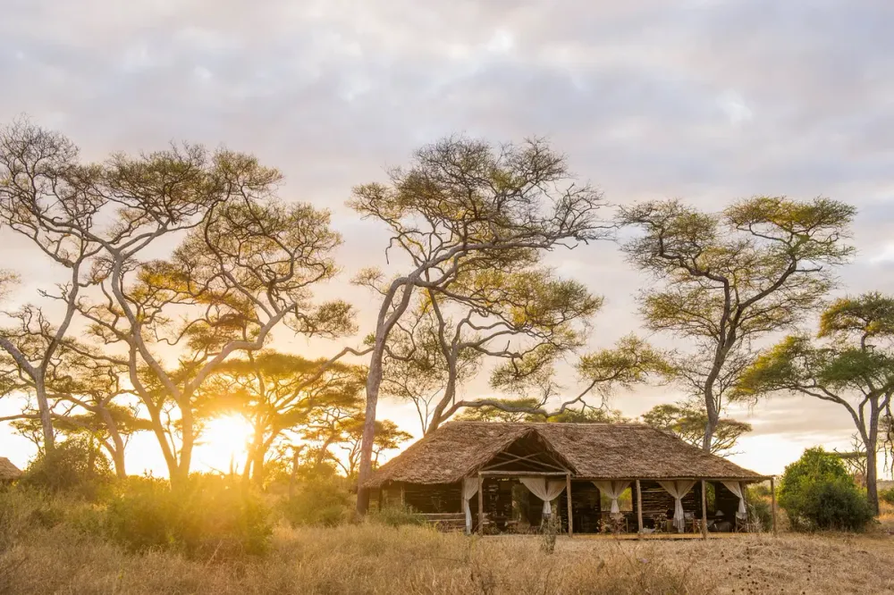 Kuro Tarangire, Tarangire, Tanzania