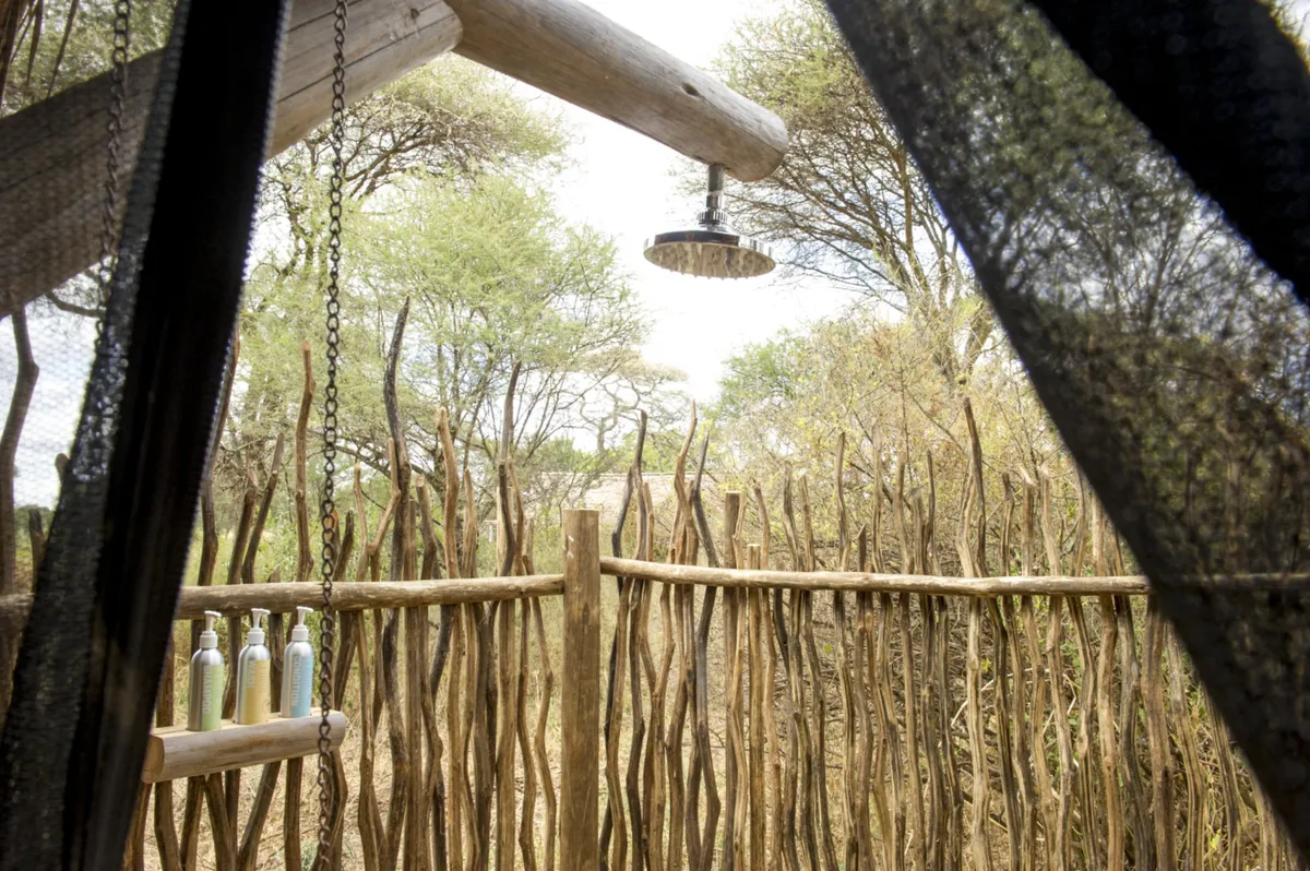 Kuro Tarangire — photo 16
