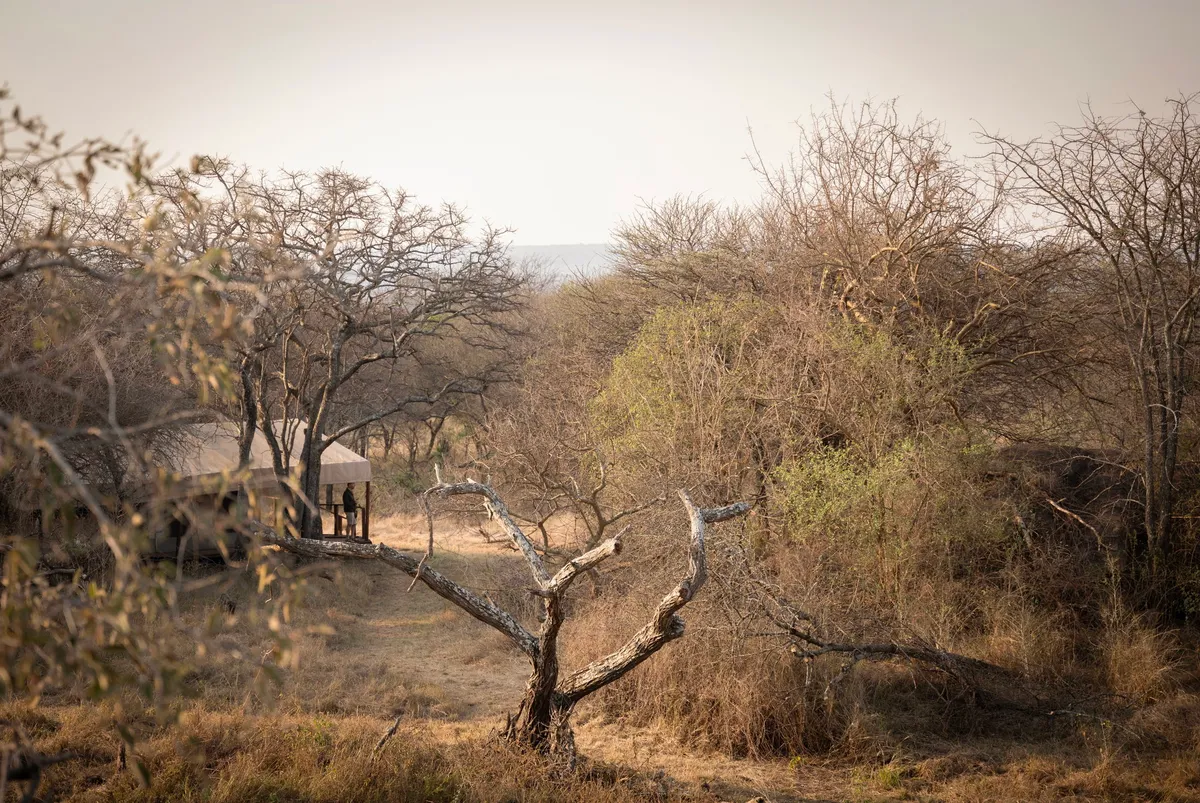 Kusini Serengeti — photo 2