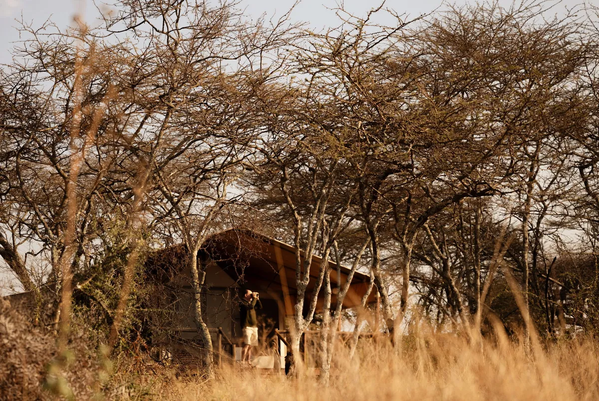 Kusini Serengeti — photo 3