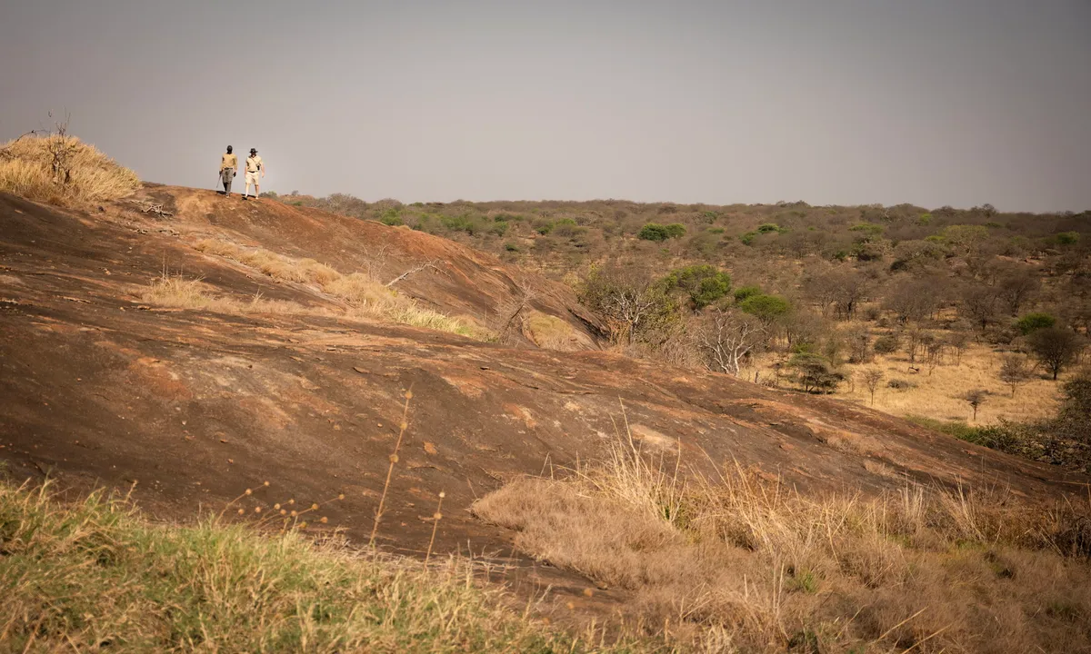 Kusini Serengeti — photo 4
