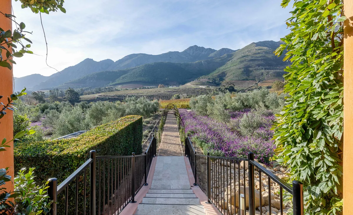 La Residence — photo 7