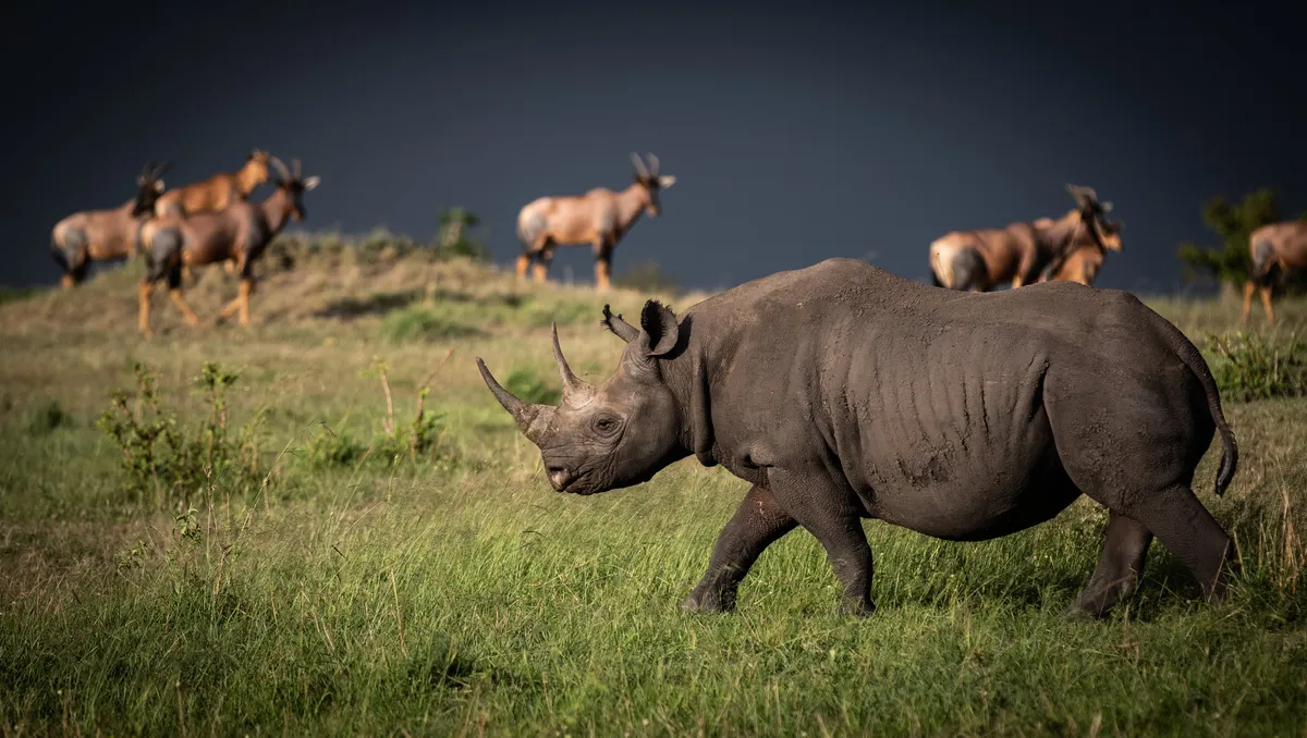 Lamai Serengeti — photo 18