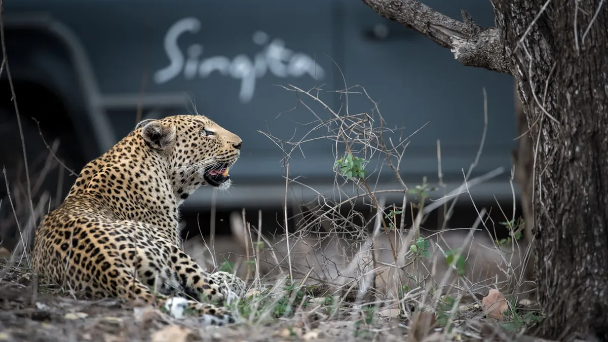 Lebombo Lodge — photo 9
