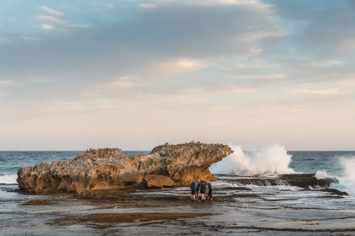 Lekkerwater Beach Lodge — photo 16
