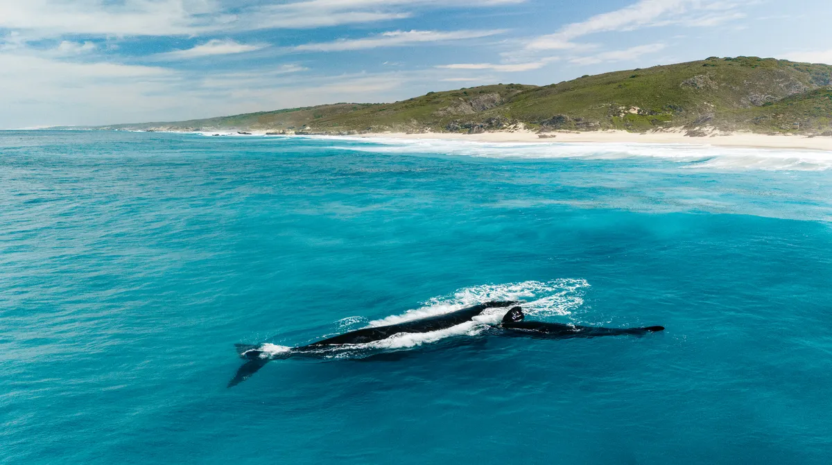 Lekkerwater Beach Lodge — photo 24