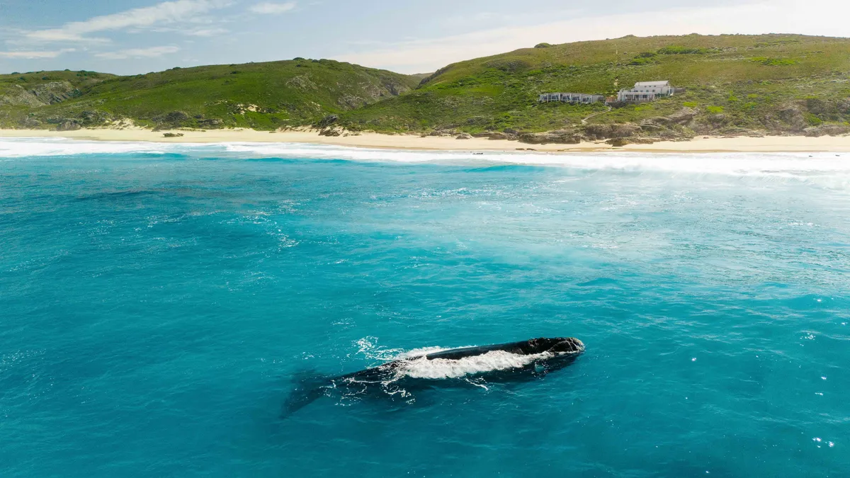 Lekkerwater Beach Lodge — photo 26