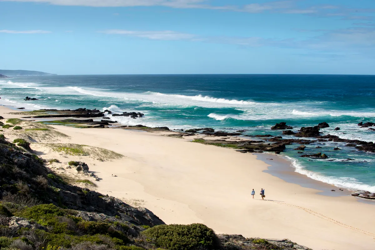 Lekkerwater Beach Lodge — photo 29