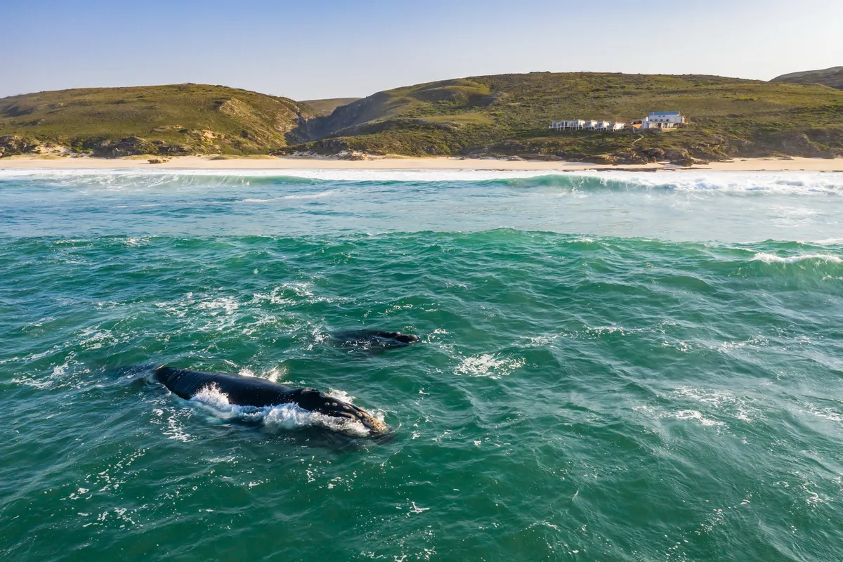 Lekkerwater Beach Lodge — photo 7