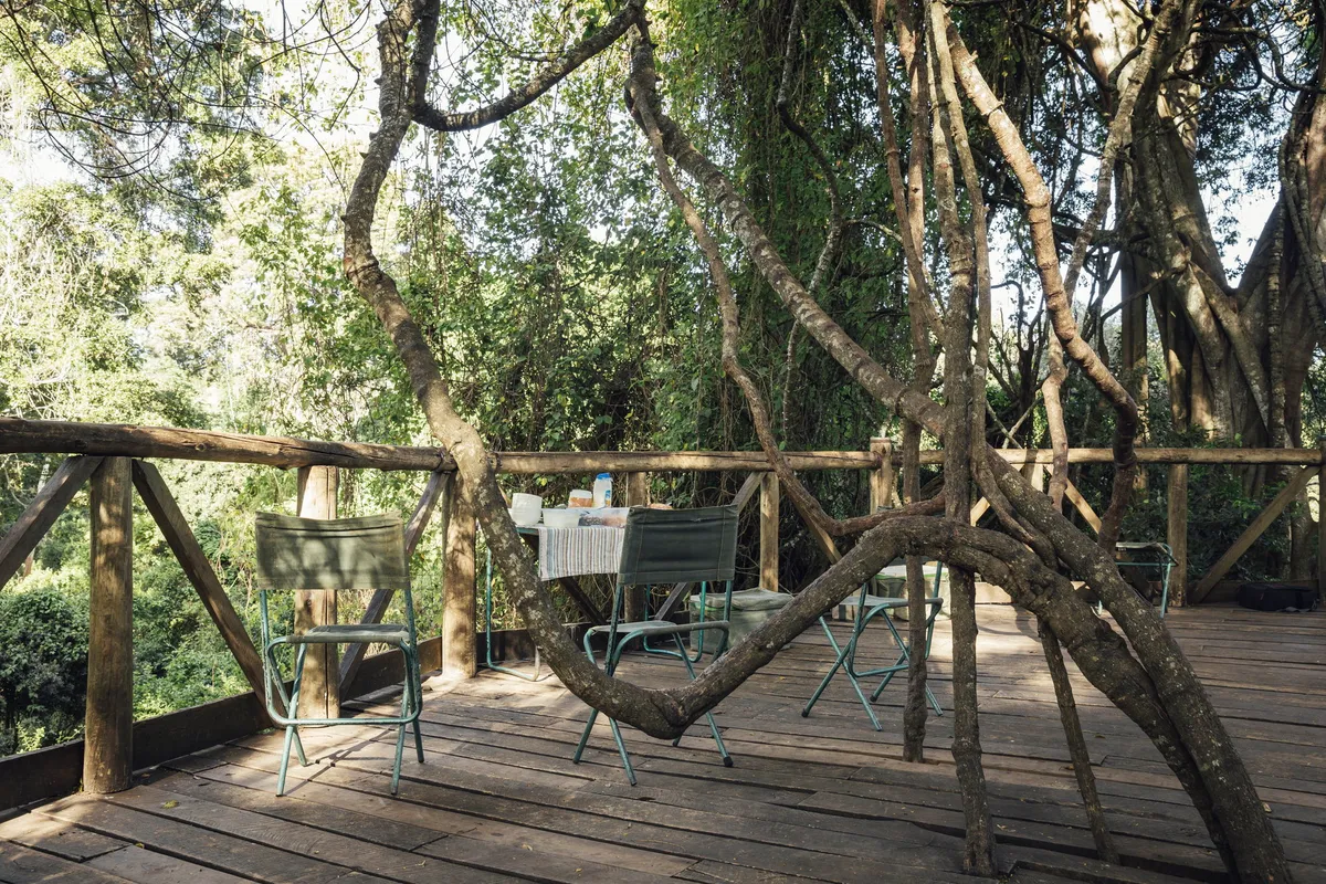 Lewa House — photo 10