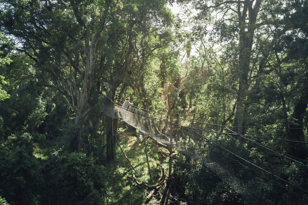 Lewa House — photo 12