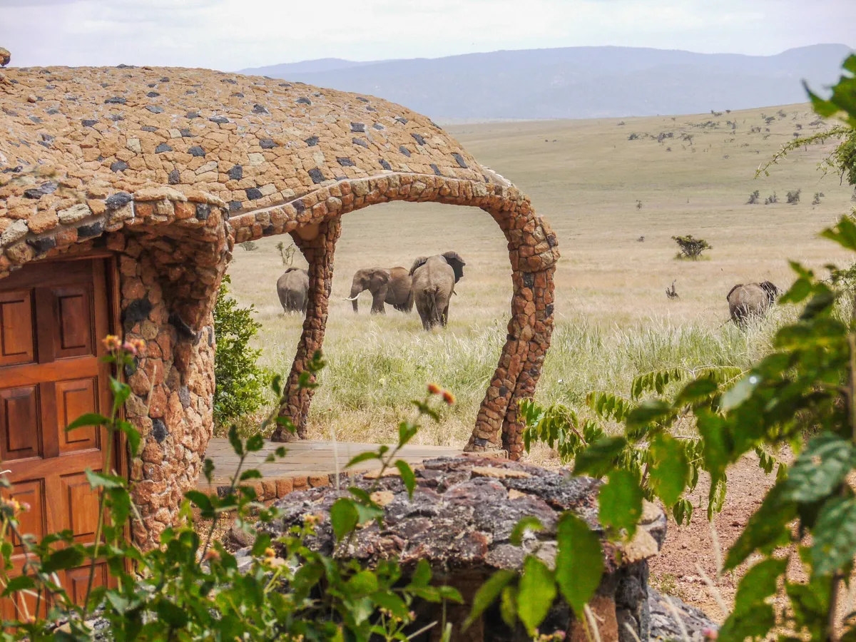 Lewa House — photo 22